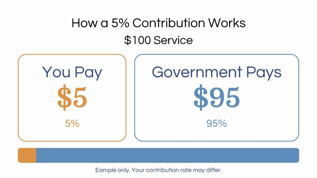 How a 5% contribution works on a $100 service: you pay $5 and the government pays $95